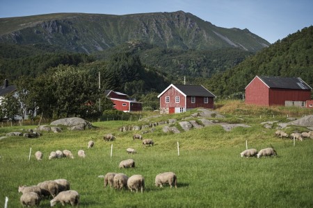 Autotour Thor Farm In Vesteralen Benjamin A Ward Visitnorway