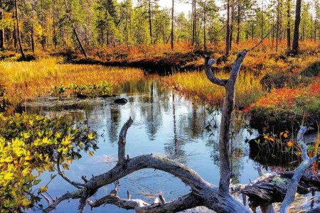 Autumn Colors Visit Inari 3