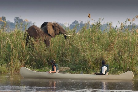 Baines River Camp Lower Zambezi Game Viewing Canoe Safari David