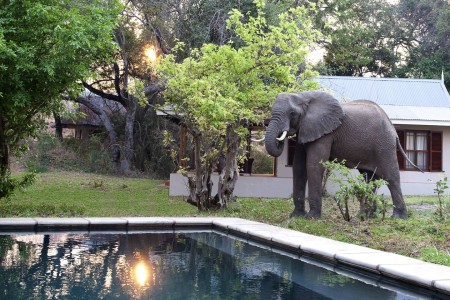 Baines River Camp Lower Zambezi Luxury David