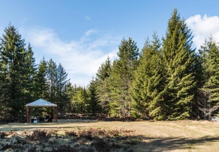 Baltsende Korhoen Nationaal Park Tiveden In Zweden Ontmoetingsplek Ramon Lucas