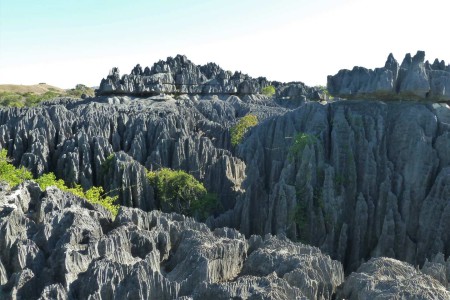 Bekopa Tsingy De Bemaraha Rachel Koorn