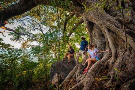 Nankoma Island Blue Zebra Island Lodge Malawi Athira Mohan