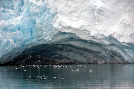 Bootreis Noord Spitsbergen North Spitsbergen%2C Arctic Spring%2C June Birdcave %C2%A9 Peter Tadin Oceanwide Expeditions Jpg Peter Tadin