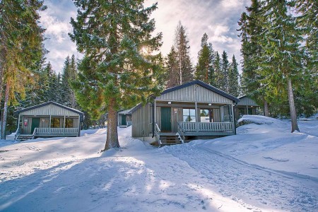 Brandon Lodge Cabins Graeme Richardson 2