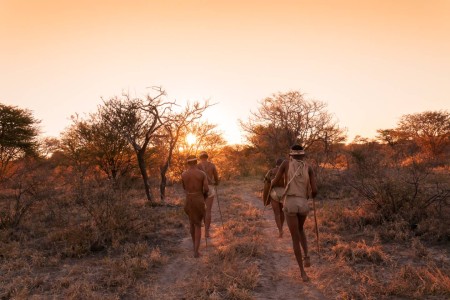 Bushmen Bushwaysafari