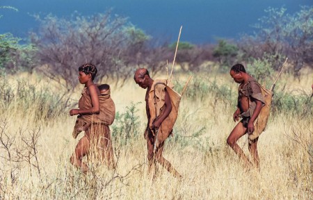 Bushmen Centrale Kalahari Bushways Safaris