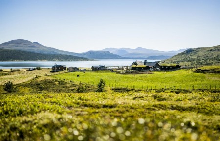 Campinghutten Alfhild Noorwegen Preekstoel Hardangerfjord Brimi Saeter Christian Roth Christensen Visitnorway Com