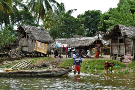 Canal De Pangalanes Palmarin Rachel Koorn