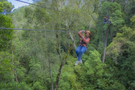 Canopy Tours Tsitsikamma Ziplinen