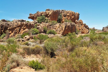 Cederberg Suid Afrika Reise Douwe Baas