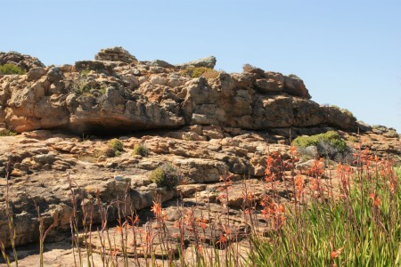 Cederberg Zuid Afrika Suid Afrika Reise Douwe Baas