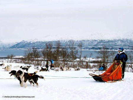 Chelsea Furland Foap Visitnorway Tromso Agena Hondensledetocht