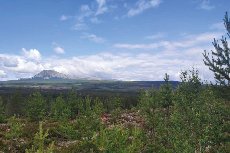 Dalsvallen Sveg Sonfjallets Nationaal Park Monique