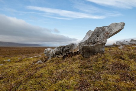 Ellesmere Devon Island En Axel Heiberg Island Quark Expeditions CanadasRemoteArctic Radstock Bay Michellesole 8671 Credit MichelleSole