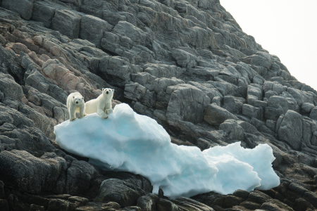 Expeditie Groenland Baffineiland En Canada QuarkExpeditions NWP Footstep Franklin Monumental Island Canadianarctic Credit AcaciaJohnson