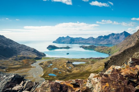 Falkland Grytviken Antarctisch Schiereiland Falklands%2C South Georgia%2C Ant Peninsula %C2%A9 Fotografie Dietmar Denger Oceanwide Expeditions131 Jpg Dietmar