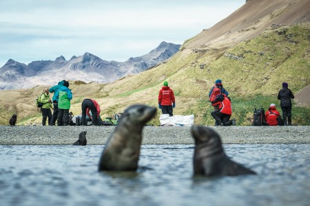 Falkland Grytviken Antarctisch Schiereiland Falklands%2C South Georgia%2C Ant Peninsula %C2%A9 Fotografie Dietmar Denger Oceanwide Expeditions140 Jpg Dietmar