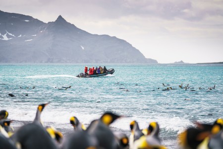 Falkland Grytviken Antarctisch Schiereiland South Georgia %C2%A9 Fotografie Dietmar Denger Oceanwide Expeditions91 Jpg Dietmar