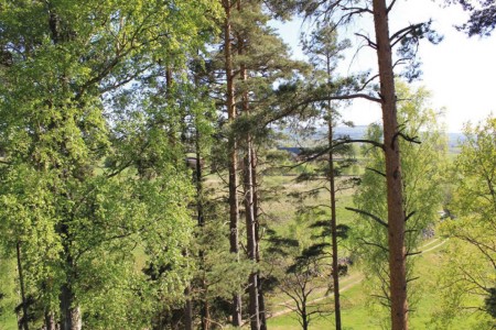 Falkoping Tradhushotell Islanna Bomen Cape