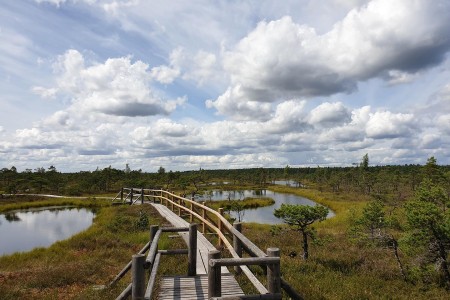 Fietsen Kemeri Nationaal Park 1