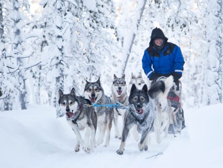 Fins Lapland Reis Arvo Wilderniss Hotel Inari 4