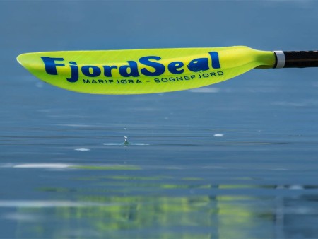 Fjordseal