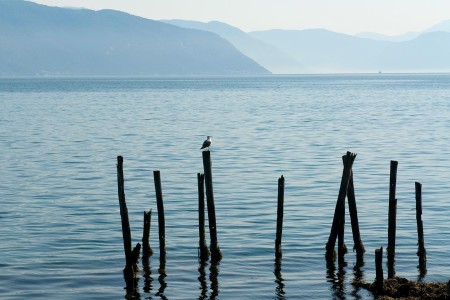 Flamsbaan Wilje Ov Reis Sognefjord CH VisitNorway Com