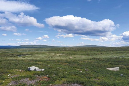 Flatruet Harjedalen Zweden Monique