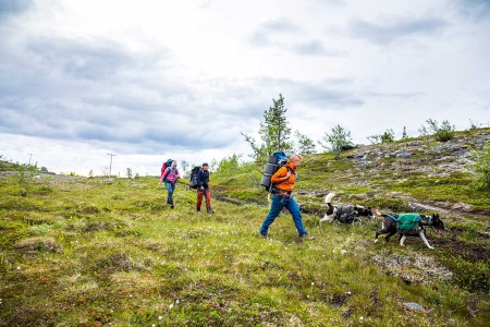 Fly Drive Lapland Saga Overnight Hike With Dogs Trasti Trine Sara Johannessen VisitNorway Com