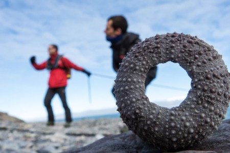 Foto Workshop Spitsbergen Leica Akademie Oceanwide Expeditions 1