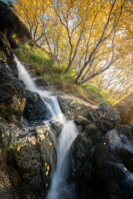 Fotoreis Lofoten Edwin Mooijaart