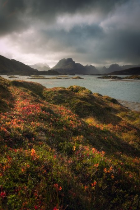 Fotoreis Lofoten Edwin Mooijaart