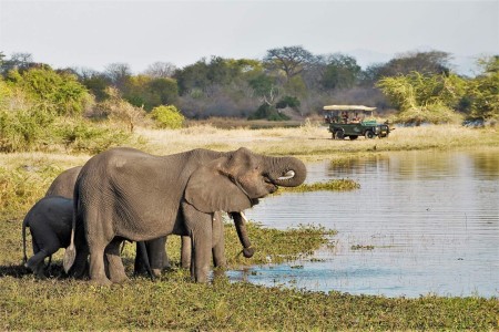 Game Drive Liwonde Mvuu Lodge