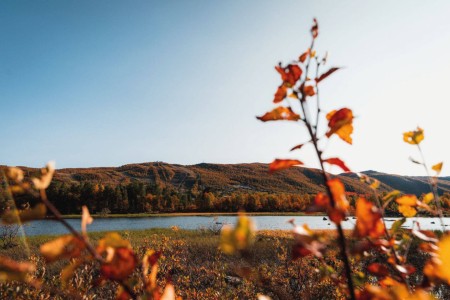 Geilo Highland Lodge Omgeving Cape