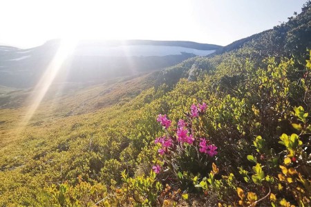 Halne Fjellstugu Omgeving Cape