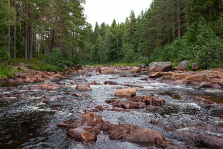 Herfstrondreis Zweden Dominique