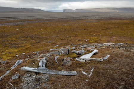 Het Hart Van De Noordwest Passage Quark Expeditions CanadasRemoteArctic Radstock Bay 8663 Credit MichelleSole