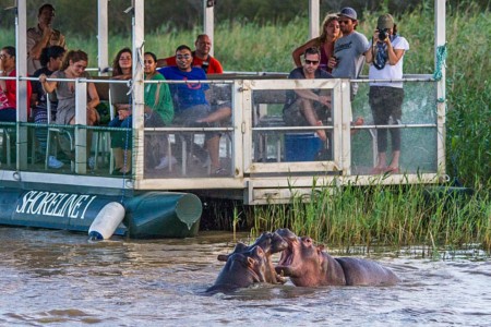 Hippo Croc Bootcruise Heritage Tours St Lucia