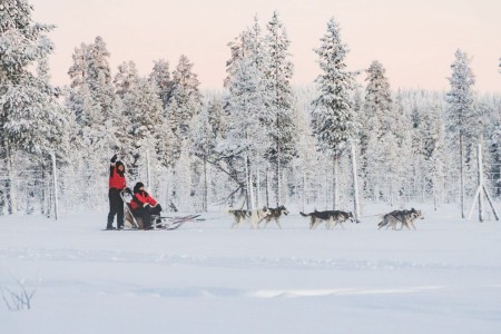 Hondensledetocht Levi Lapland Safaris 2