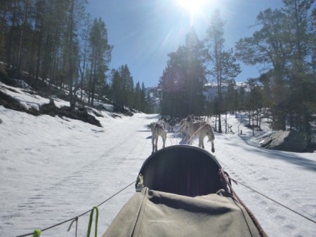 Hondensledetocht Sjodalen Hundekjoring