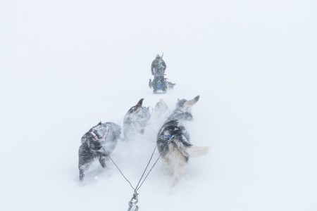 Hondensledetocht Spitsbergen Bolterdalen 2