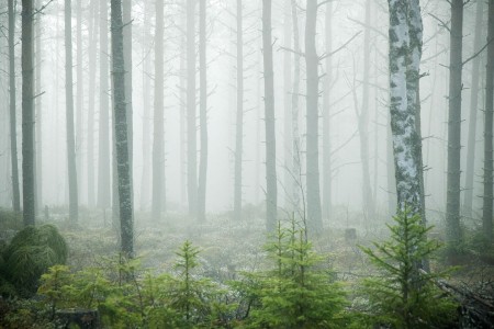 Hotelrondreis Zweden Yngvi Sara De Basly Fog