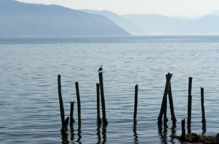 Huttentocht Noorse Fjorden Dagrun Sognefjord Ch Visitnorway