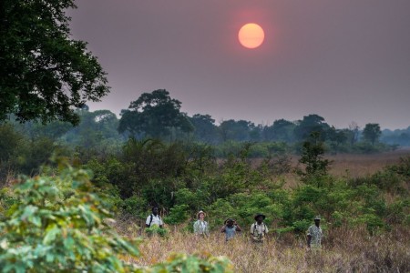 Ila Safari Lodge Green Safaris Wandelsafari