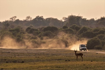 Chobe Olifanten Suid Afrika Reise