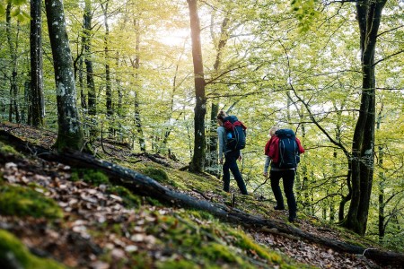 Kampeerautoreizen Meja Apeloga Hiking In The