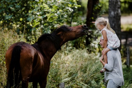 Kindvriendelijke Vakantie Zweden Denemarken Oscar Alexander Hall Animal Encounter 1