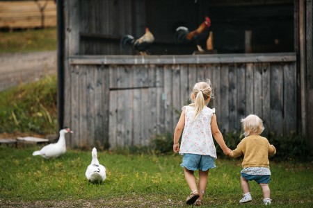 Kindvriendelijke Vakantie Zweden Denemarken Oscar Alexander Hall Animal Encounter