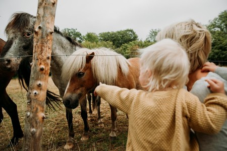 Kindvriendelijke Vakantie Zweden Denemarken Oscar Alexander Hall